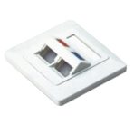 NetiX Angled Face Plate Dual Port with Shuttle