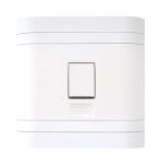 Lesco 50A 2 Pole Flush Isolator Switch